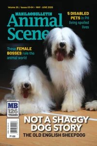 Animal Scene - 05/06 2026