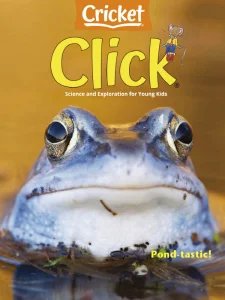 Click - 05/06 2025