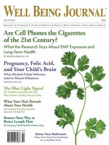 Well Being Journal - Vol 35 No. 2 2026