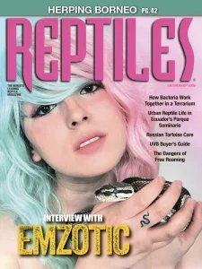 Reptiles - 07/08 2026