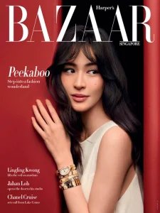 Harper's Bazaar SG - 11.2025