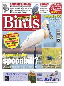 Cage & Aviary Birds - 15.10.2025