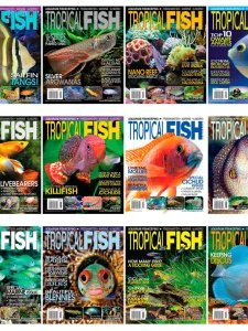 Tropical Fish Hobbyist - 2013 Full Year