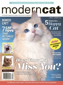 Modern Cat - Spring/Summer 2026