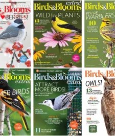 Birds & Blooms - 2021 Full Year Compilation
