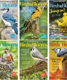Birds & Blooms - 2023 Full Year Compilation