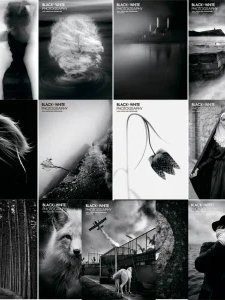 Black + White Photography - 2022 Full Year