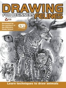 Drawing for Beginners - Felines 2016