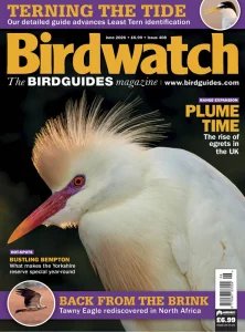 Birdwatch UK - 06.2026