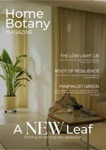 Home Botany SA - Is. 1 2026