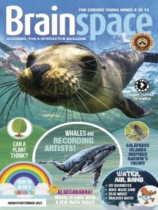 Brainspace - 08/09 2023