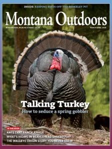 Montana Outdoors - 03/04 2026