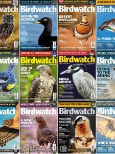Birdwatch - 2024 Full Year