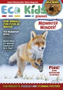 Eco Kids Planet - 01.2026