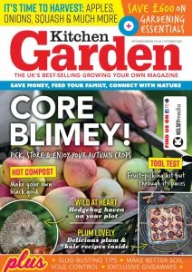 Kitchen Garden - 10.2025