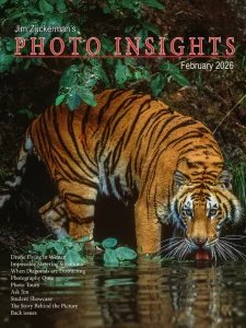 Photo Insights - 02.2026