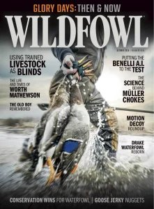 Wildfowl - 10.2026