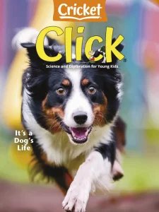 Click - 02.2025