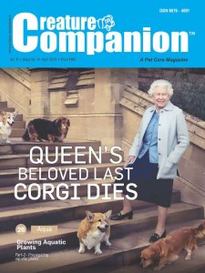 Creature Companions - 04.2018