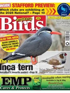 Cage & Aviary Birds - 27.08.2025