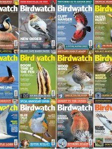 Birdwatch - 2025 Full Year