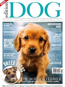 Edition Dog - Is. 10 2019