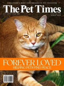 The Pet Times - 03.2025