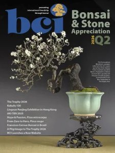 BCI Bonsai & Stone Appreciation - Quarter 2 2026