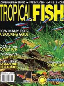 Tropical Fish Hobbyist - November 2013