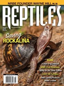 Reptiles - 07/08 2025