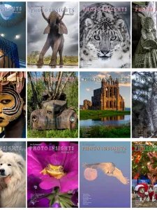 Photo Insights - 2023 Full Year