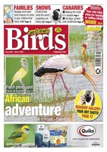Cage & Aviary Birds - 2.04.2025