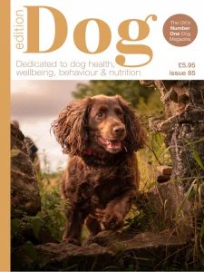 Edition Dog - Is. 85 2025