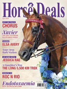 Horse Deals - 04.2025