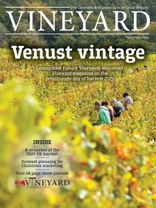 Vineyard - 11.2025