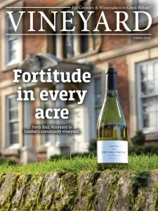 Vineyard - 03.2025
