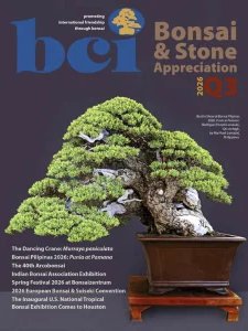 BCI Bonsai & Stone Appreciation - Quarter 3 2026