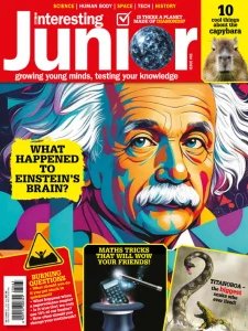 Very Interesting Junior - 06.2025