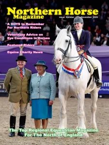 Northern Horse - 11.2025