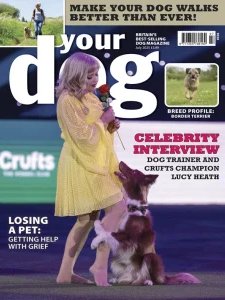 Your Dog - 07.2025