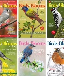 Birds & Blooms - 2025-2026 Full Year Compilation