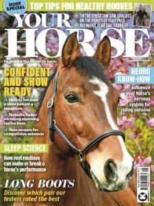 Your Horse - 06.2025