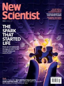 New Scientist Int - 6.12.2025