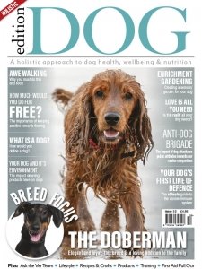 Edition Dog - Is. 32 2021