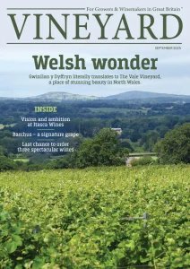 Vineyard - 09.2025