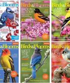 Birds & Blooms - 2016 Full Year Compilation