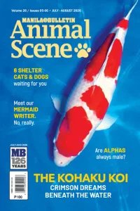 Animal Scene - 07/08 2026