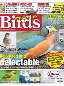 Cage & Aviary Birds - 18.02.2026