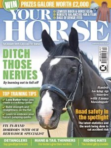 Your Horse - 04.2025