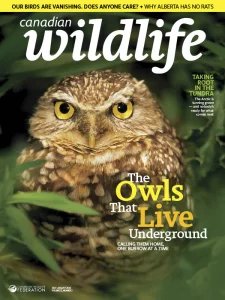 Canadian Wildlife - 07/08 2026